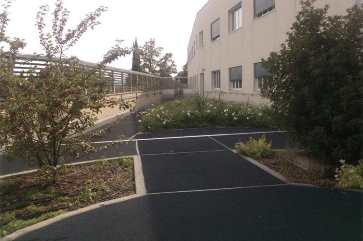 Percorso pedonale esterno immerso nel verde, adiacente all'edificio della struttura.